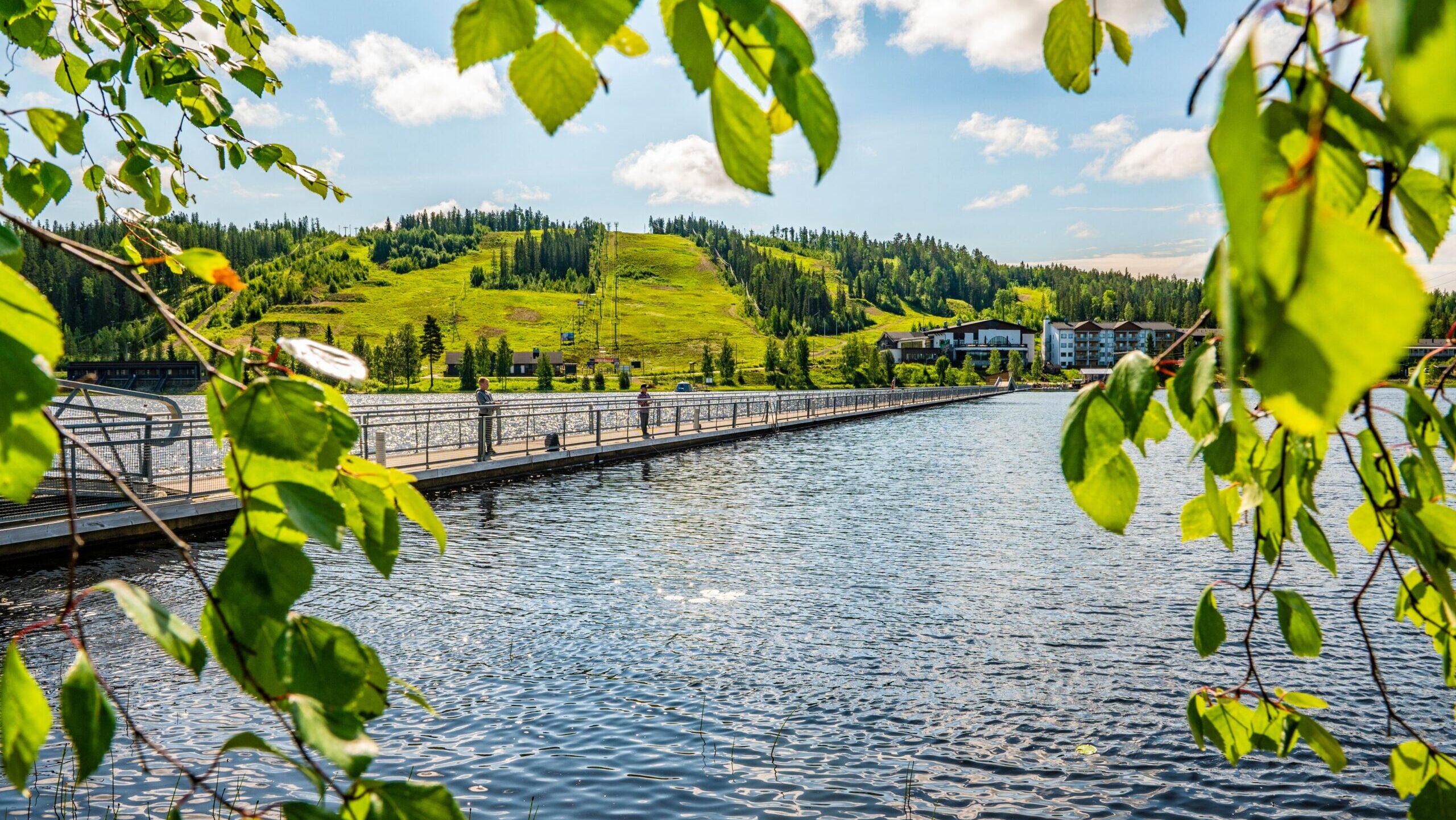 Ukkohalla kesäisenä päivänä.